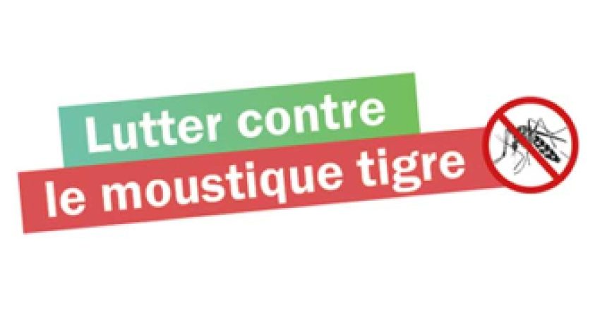 Visuel_Lutter_Moustique_Tigre_678_454