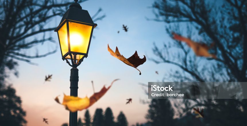 Last autumn leaves falling from the trees at night. Illuminated street lamp in the park.